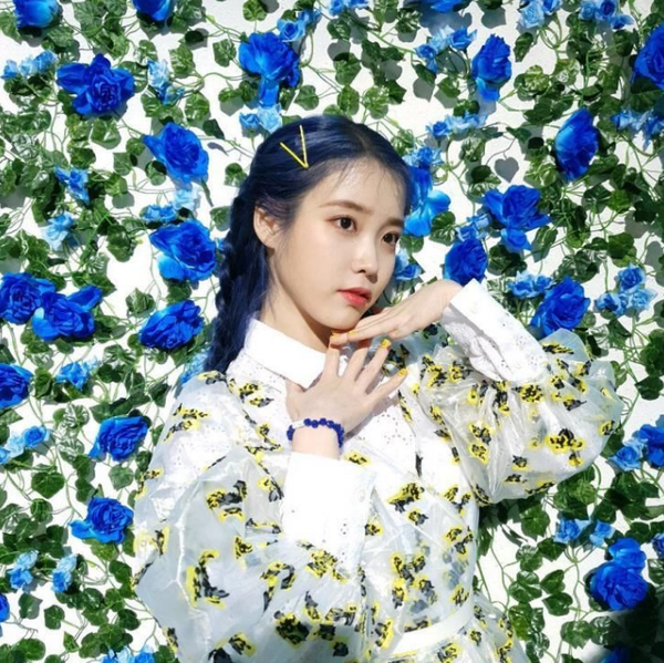 블루트렌드 이미지