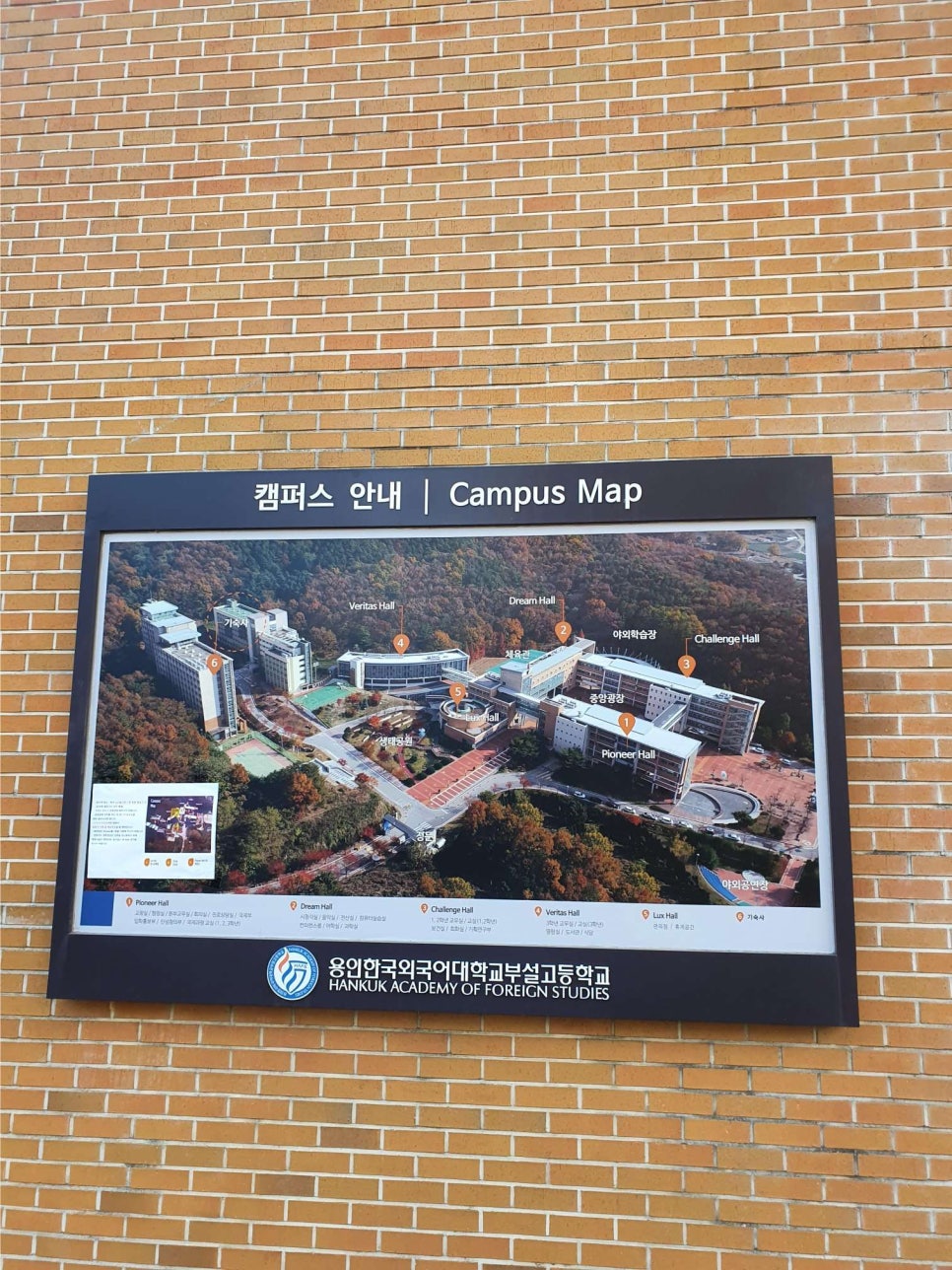 용인한국외국어대학교부설고등학교 이미지