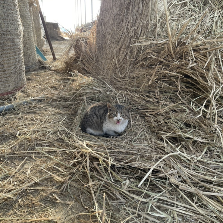 마시go취하go 이미지