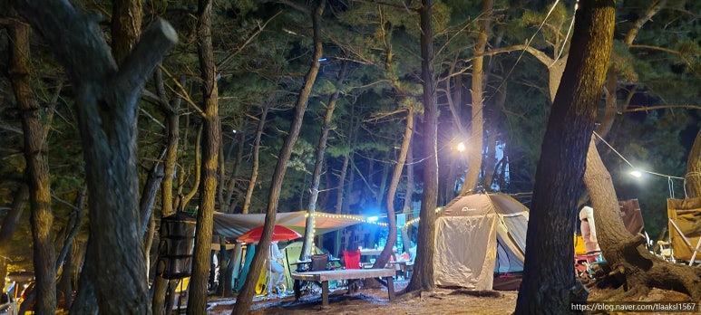 라파엘로펜션 이미지