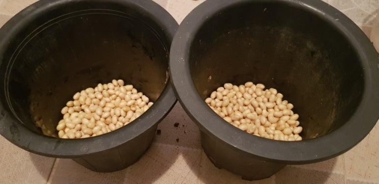 먹정식당 이미지