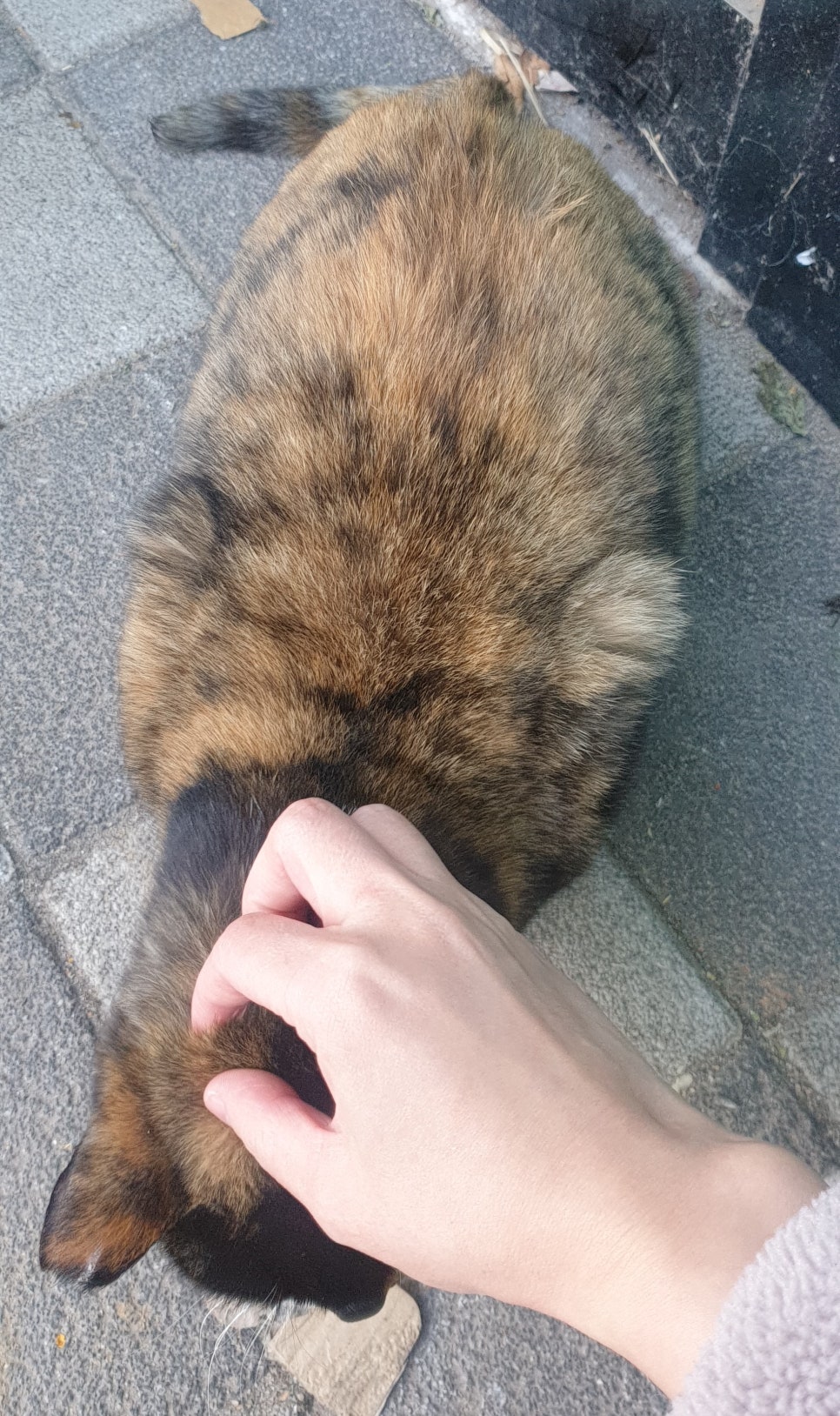 1218마트 이미지