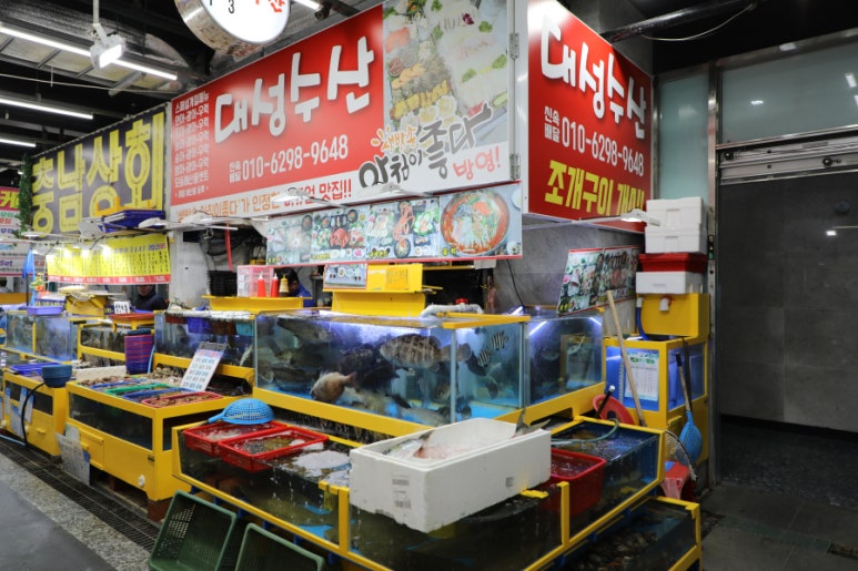 대성수산 이미지