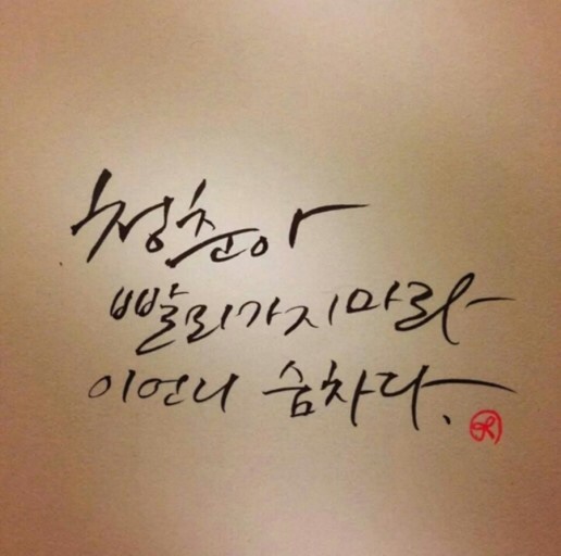 보은 요양원 이미지