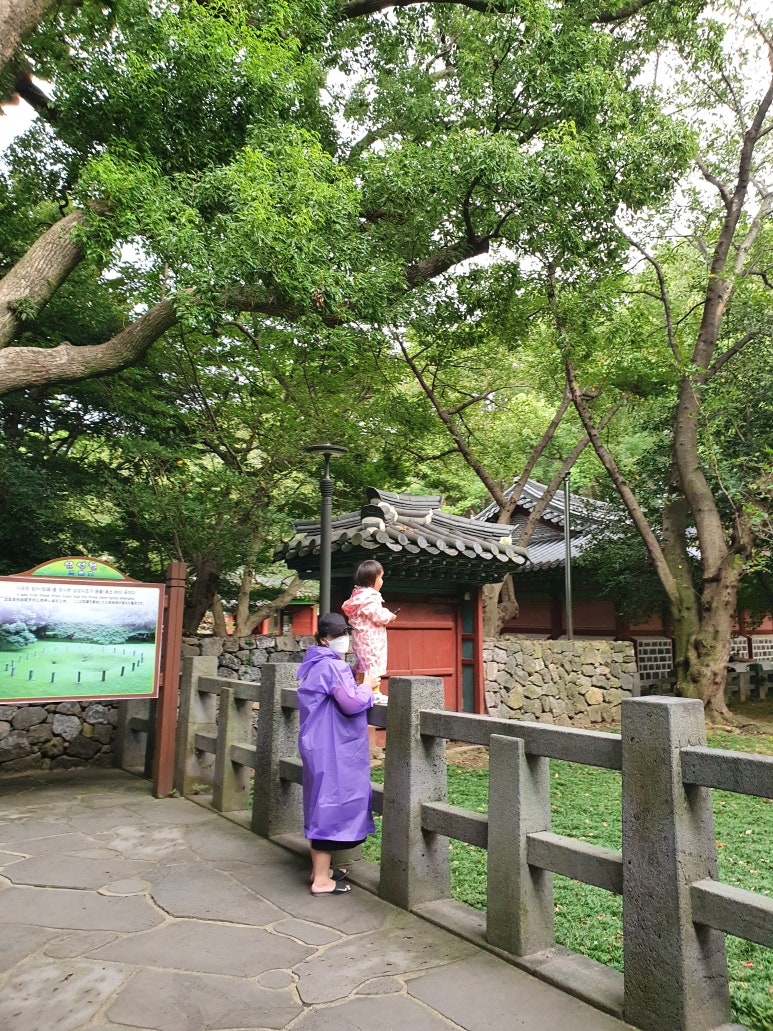 삼성혈분식 이미지