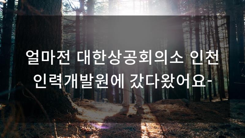 에이스인력 이미지