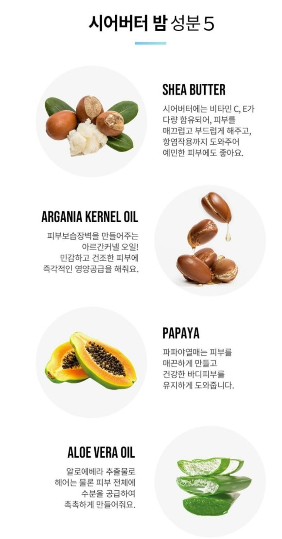 포포 이미지