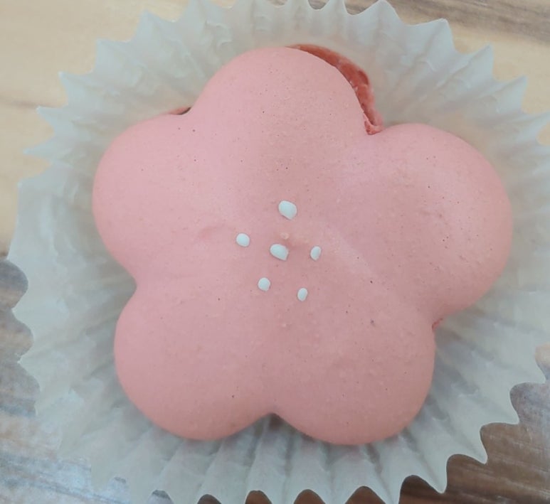 예꼬랑 이미지