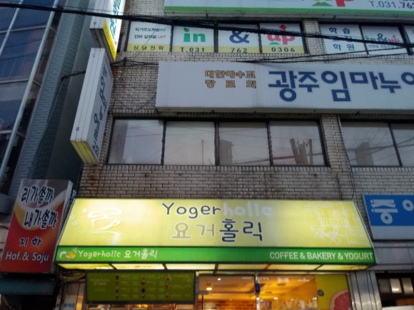 요거홀릭 이미지