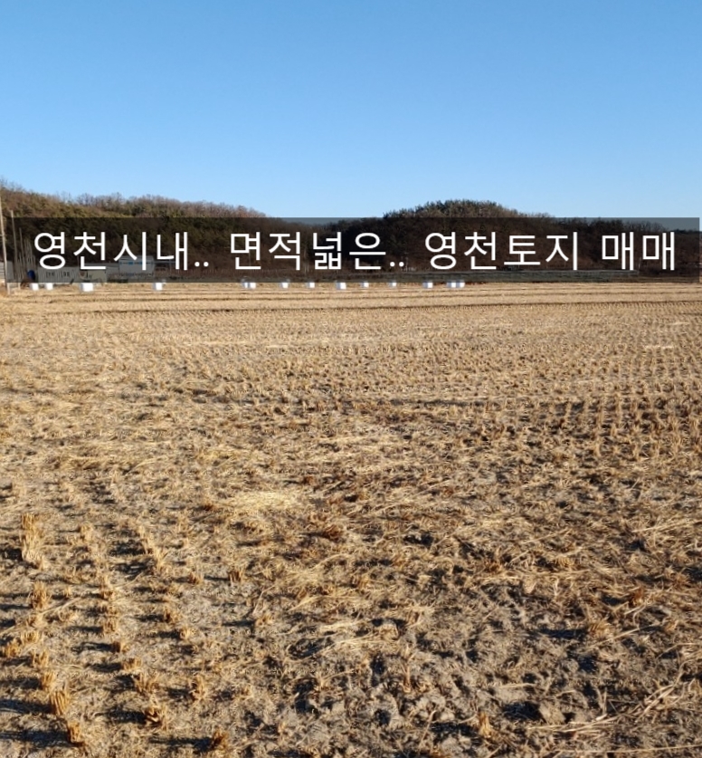 명품화훼농원 이미지