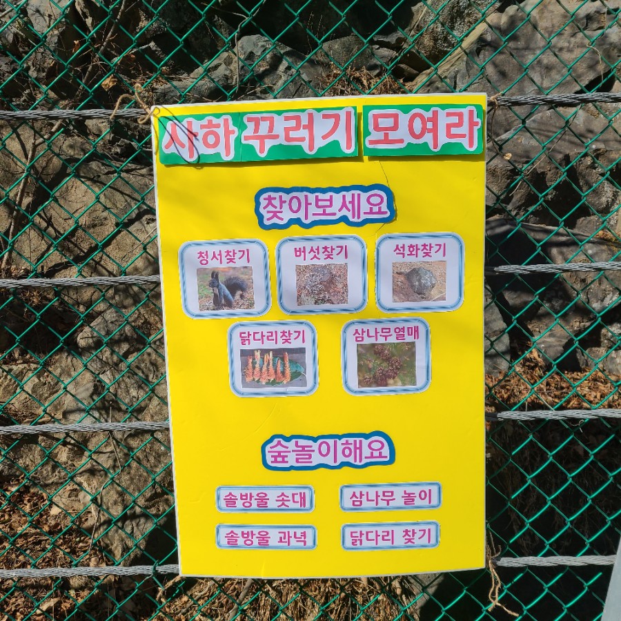 부모애숲 이미지