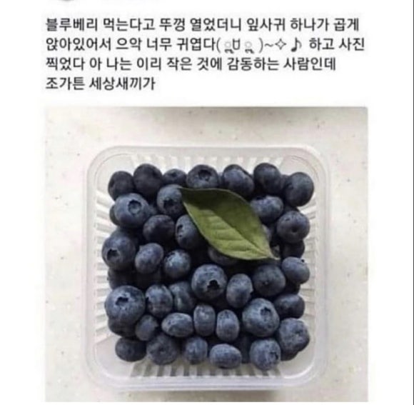 너영나영 이미지