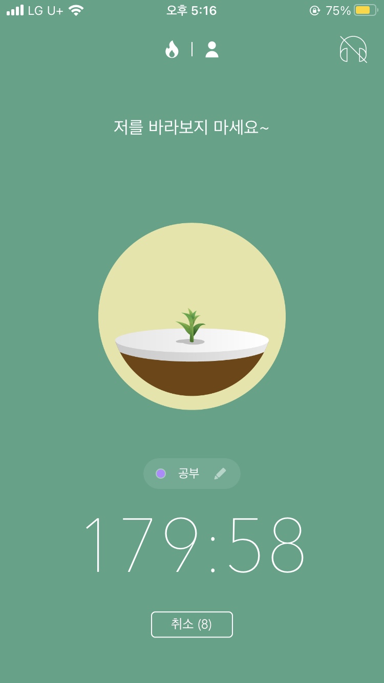 포레스트(forest) 이미지