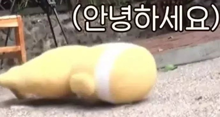 하삼동커피신 이미지
