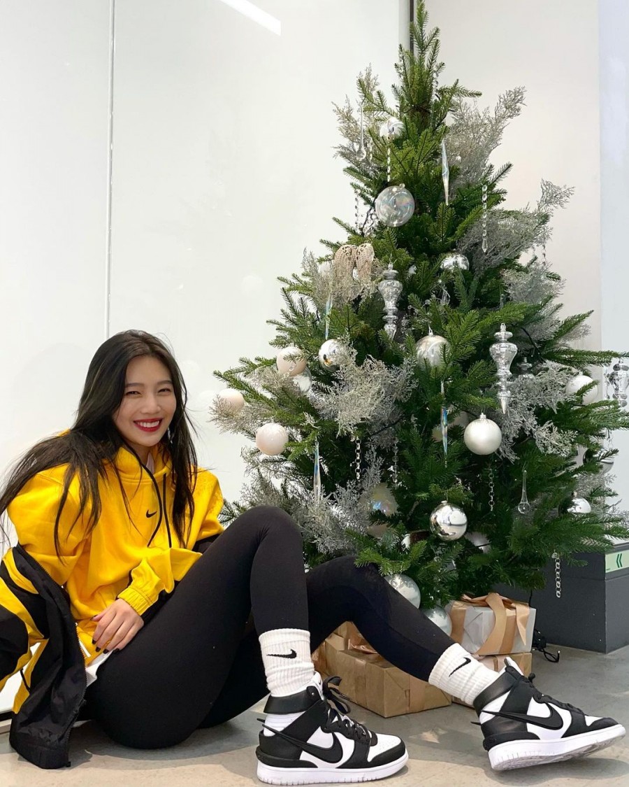 조이트리 이미지