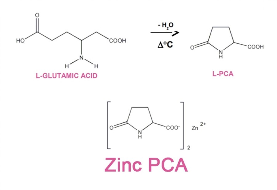 징크피씨에이 (Zinc PCA)