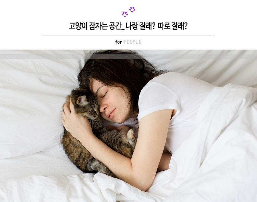 잘래 이미지