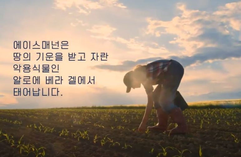 에이스시스템 이미지