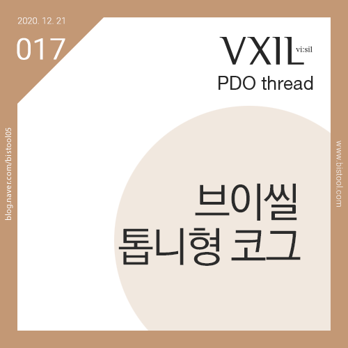 비코그 이미지