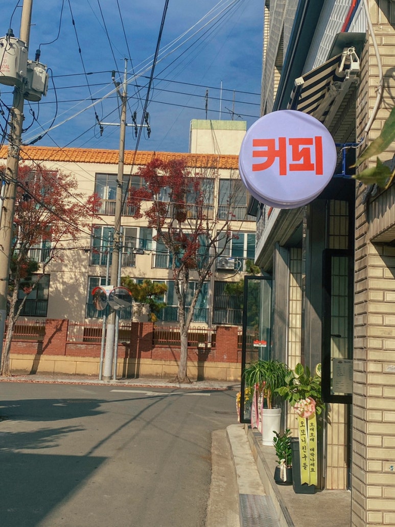 타이거살롱 이미지