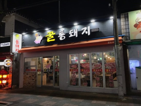 꿀통돼지 이미지