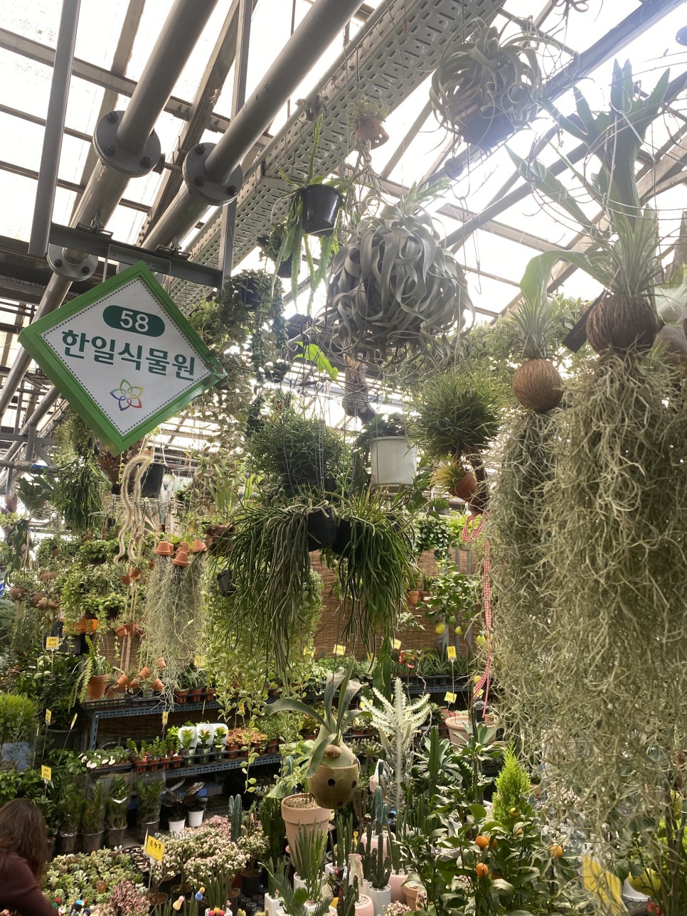 한일꽃식물원 이미지