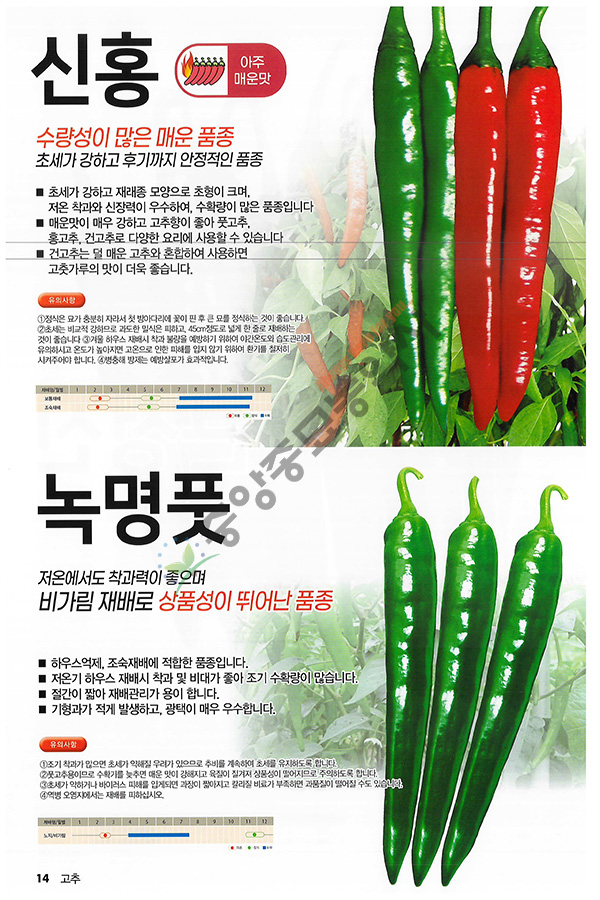 백두칼라 이미지