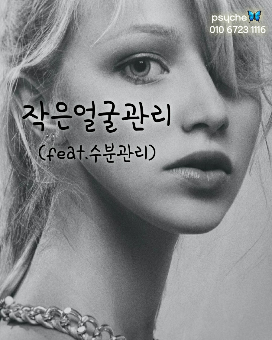 프시케 이미지