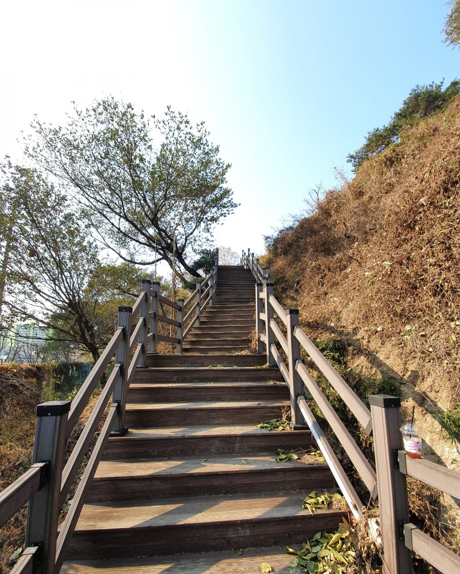 마동근린공원산책로 이미지