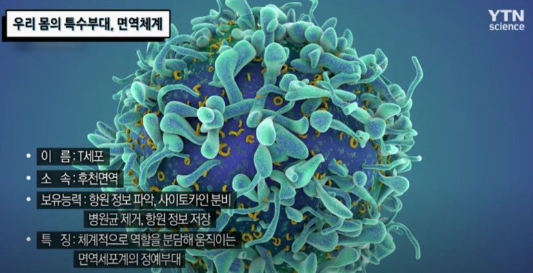 에이스시스템 이미지