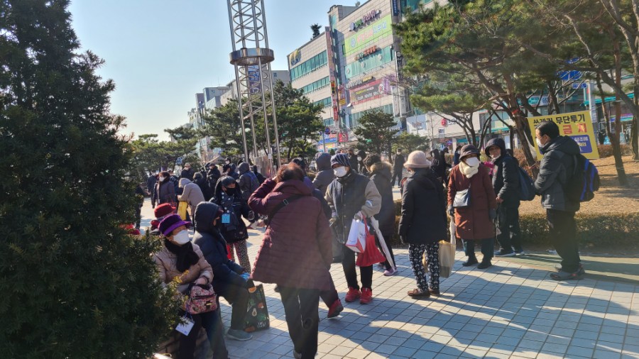 위디 이미지