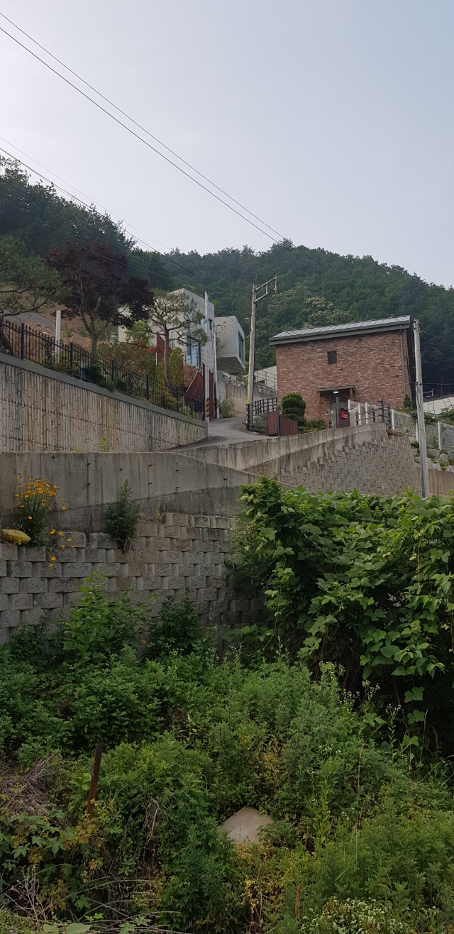 더秀 이미지