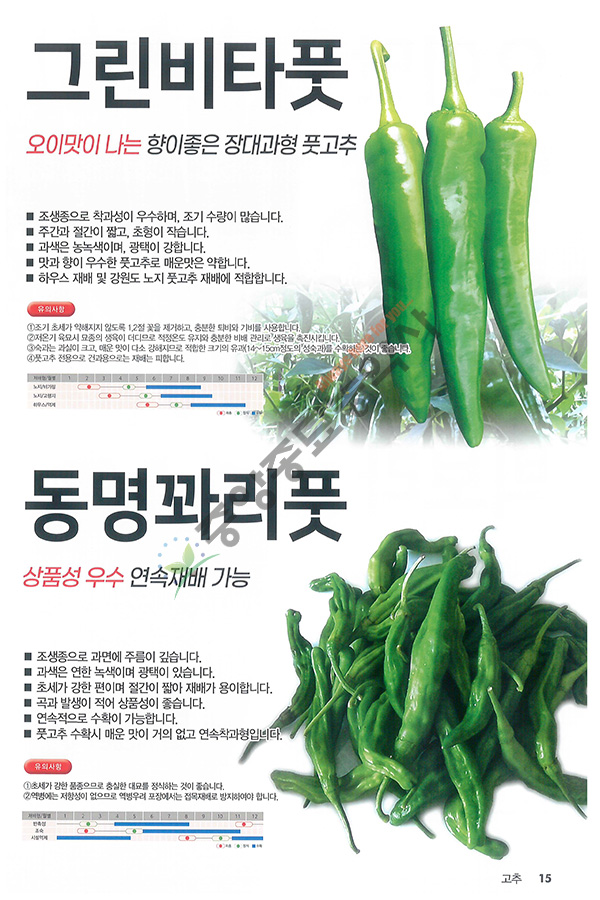 백두칼라 이미지
