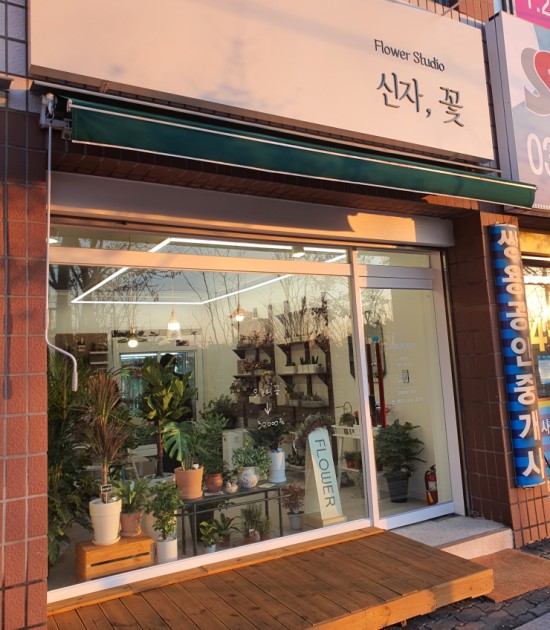 신자;꽃 이미지