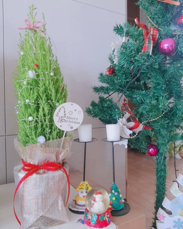 정뷰티샵 이미지