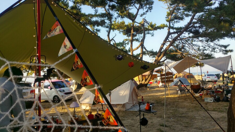몽산포감성캠핑장 이미지