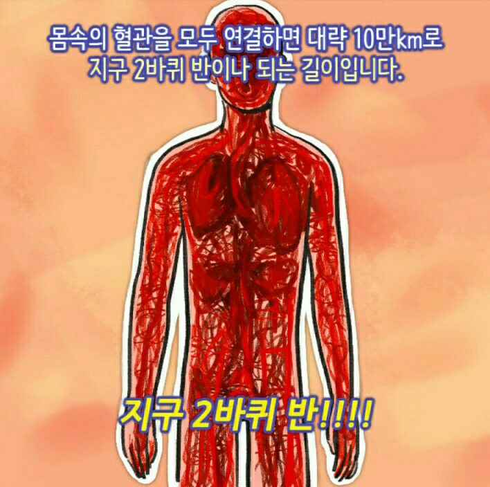 바이오포톤 이미지
