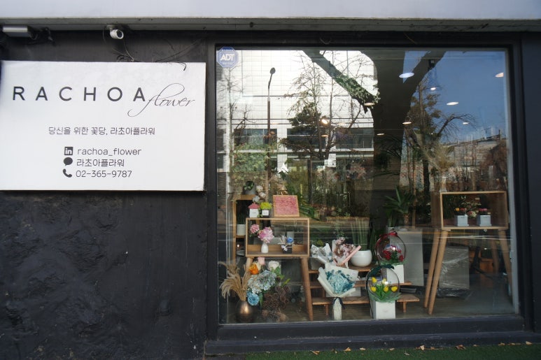 라초아플라워 이미지