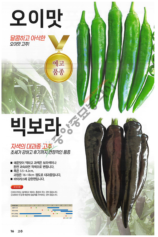 백두칼라 이미지