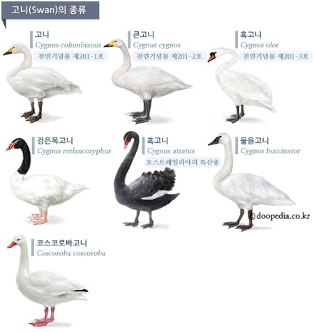유림 헤어샾 이미지