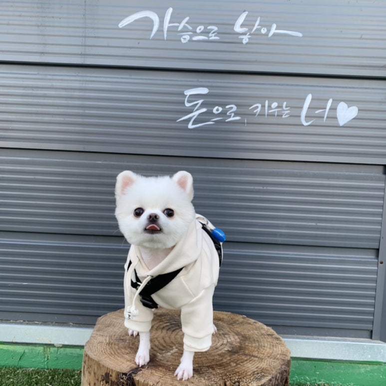 구마카페 이미지