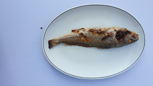 장수100세 기업 이미지