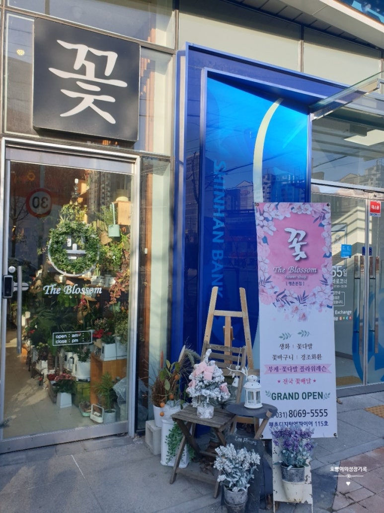1481샵 이미지