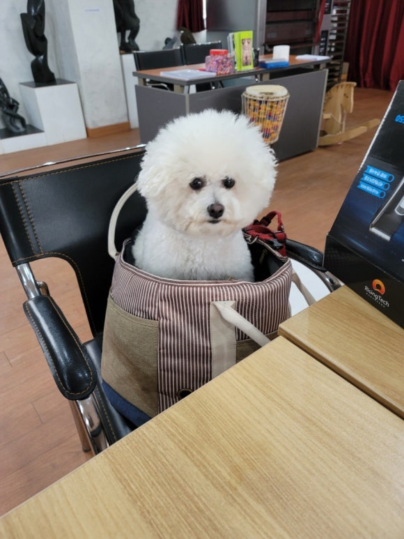 아프리카교육문화원 이미지