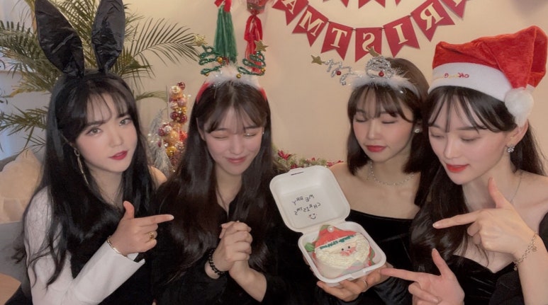 알로하비 이미지