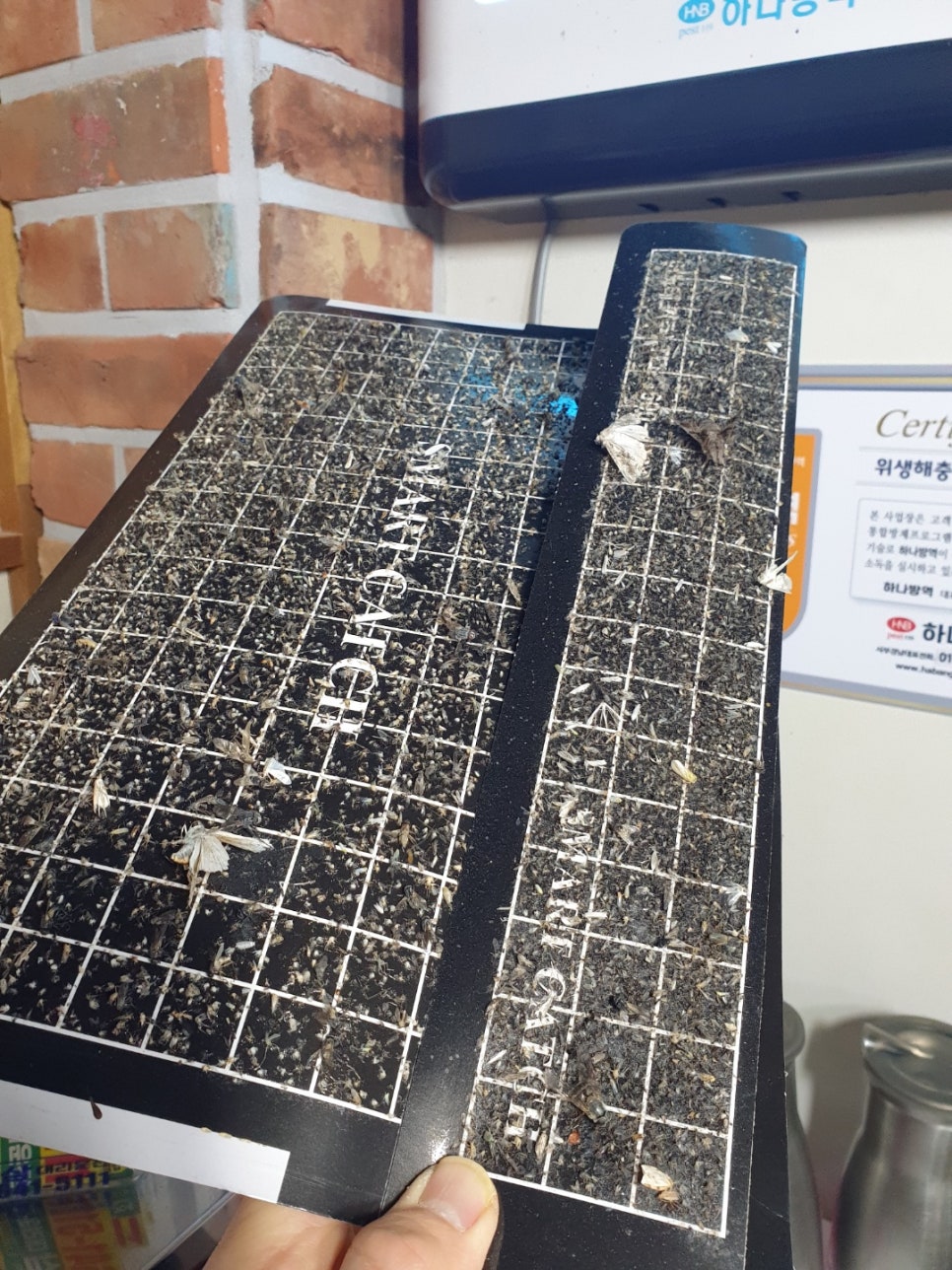 푸른방역 이미지