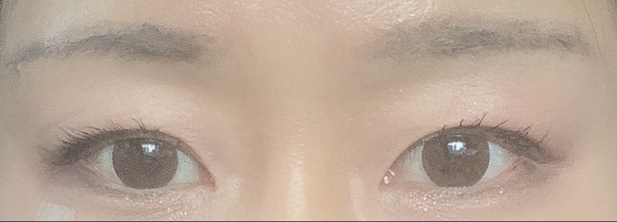 어반디노 이미지