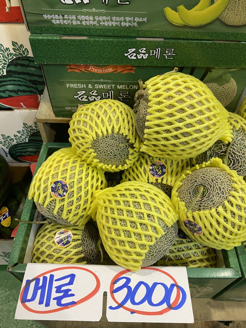 제일청과 이미지