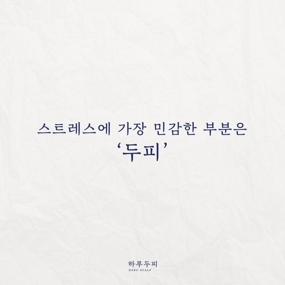 하루두피 동탄1점 이미지