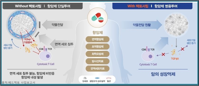 티지에프 이미지
